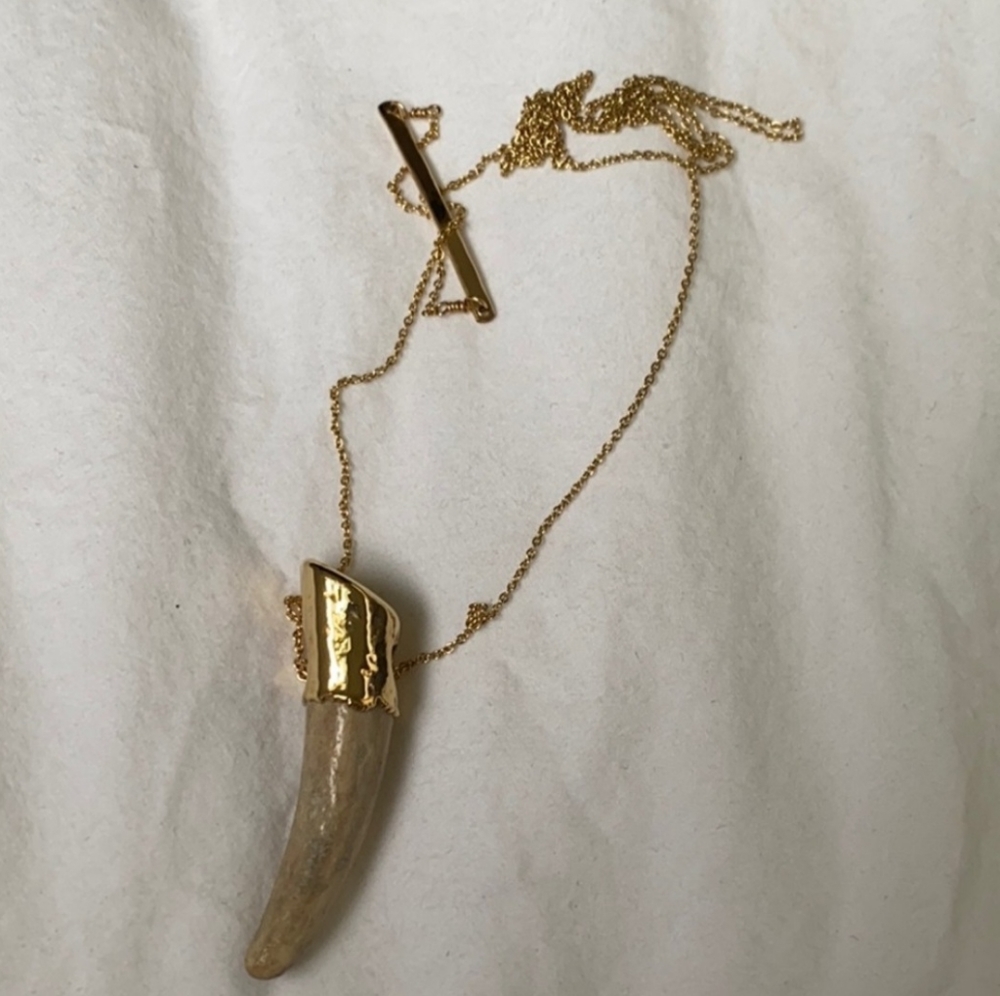 Horn Long Necklace